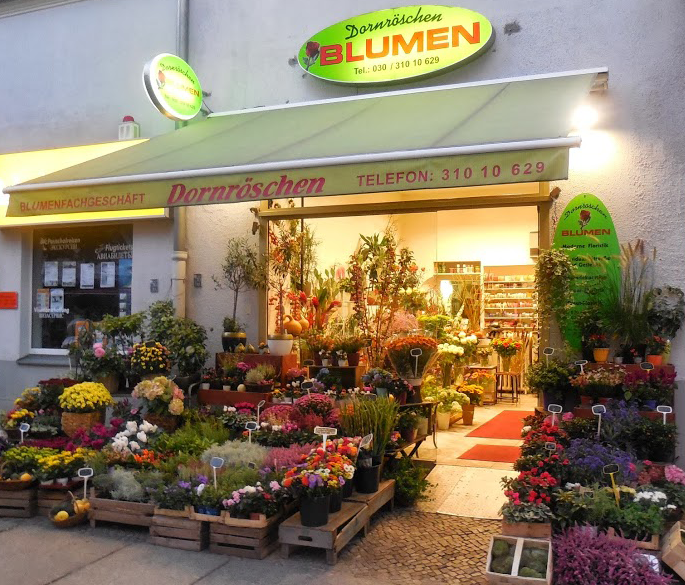 blumenladen Dornröschen